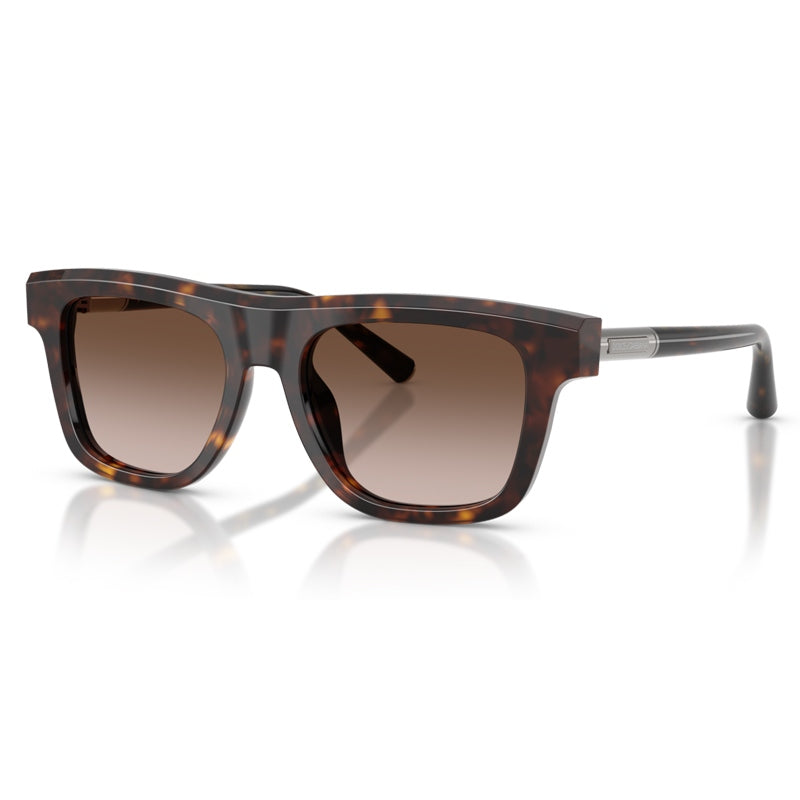 Dolce e Gabbana Sunglasses, Model: 0DG4521 Colour: 50213