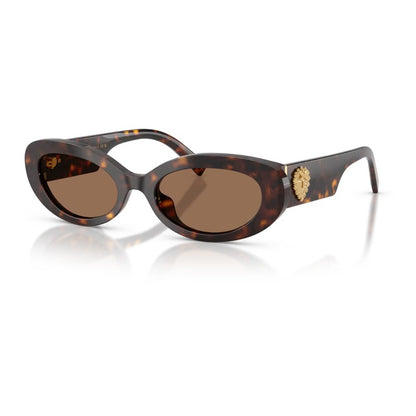 Dolce e Gabbana Sunglasses, Model: 0DG4537 Colour: 50273