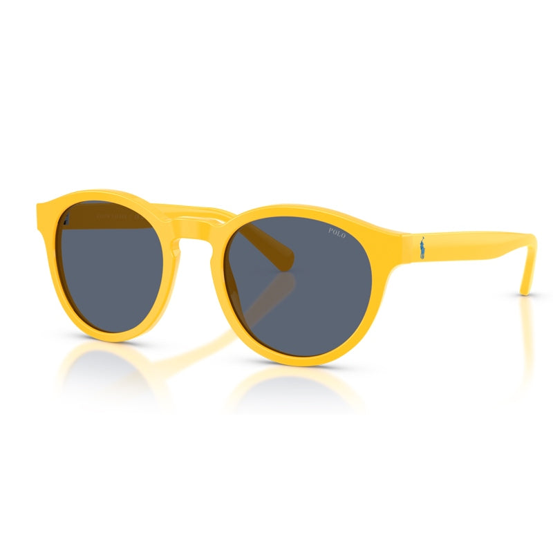 Polo Ralph Lauren Sunglasses, Model: 0PH4192 Colour: 542087