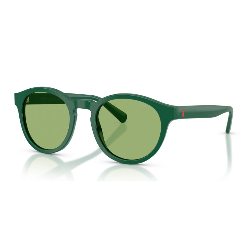 Polo Ralph Lauren Sunglasses, Model: 0PH4192 Colour: 61412