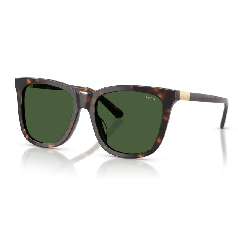 Polo Ralph Lauren Sunglasses, Model: 0PH4201U Colour: 500371