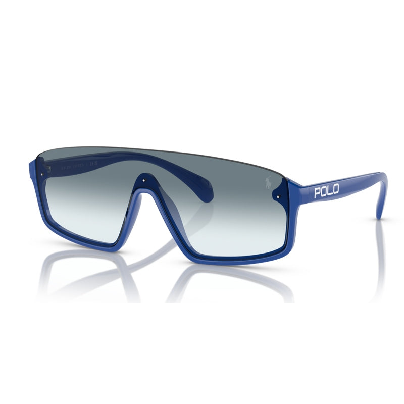 Polo Ralph Lauren Sunglasses, Model: 0PH4211U Colour: 596219