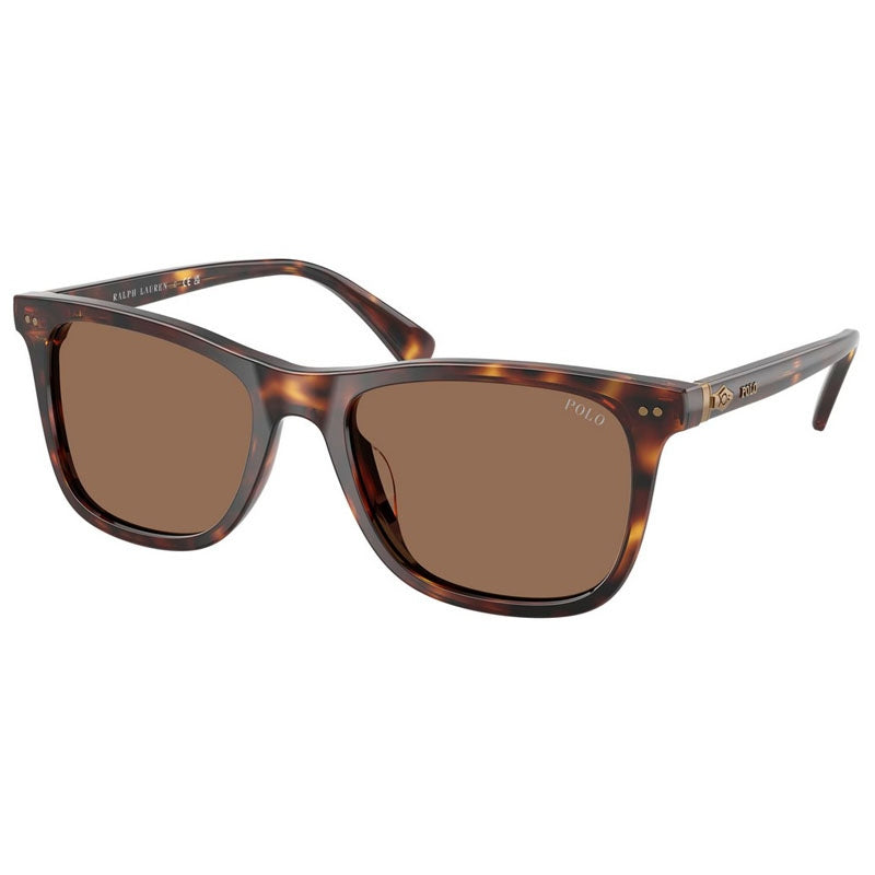 Polo Ralph Lauren Sunglasses, Model: 0PH4220U Colour: 613773