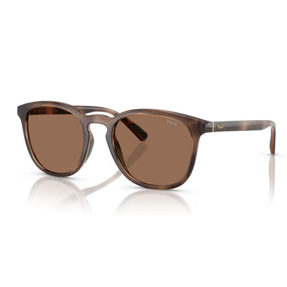 Polo Ralph Lauren Sunglasses, Model: 0PH4222U Colour: 597473