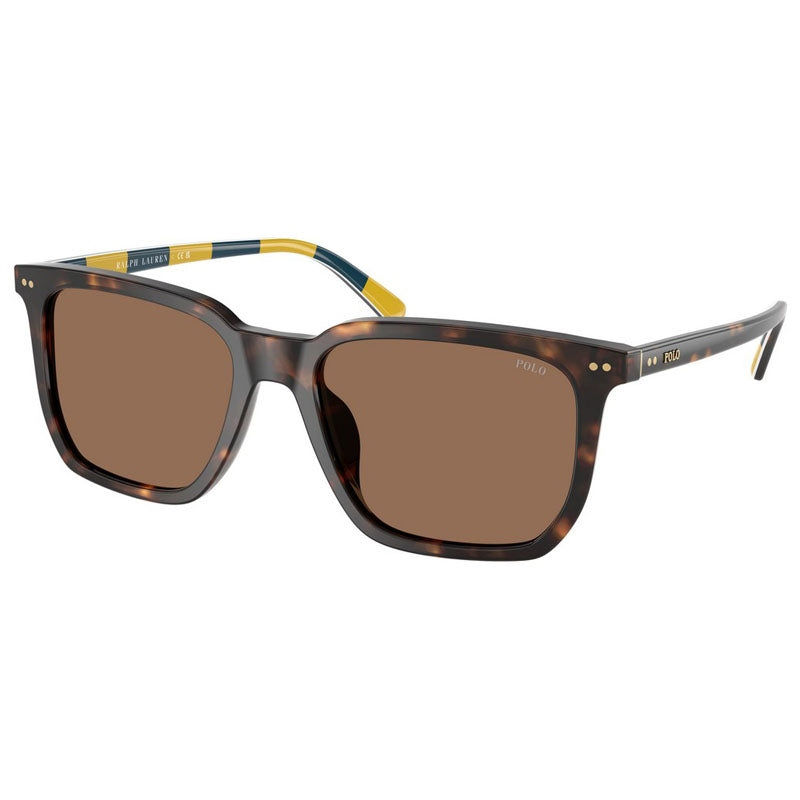 Polo Ralph Lauren Sunglasses, Model: 0PH4224U Colour: 500373