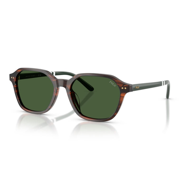 Polo Ralph Lauren Sunglasses, Model: 0PH4234U Colour: 631571