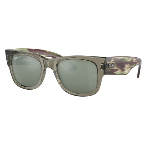 Ray Ban Sunglasses, Model: 0RB0840S Colour: 66355C