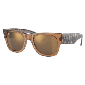 Ray Ban Sunglasses, Model: 0RB0840S Colour: 663693