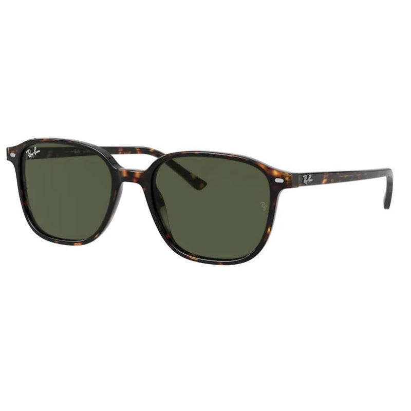 Ray Ban Sunglasses, Model: 0RB2193 Colour: 90231