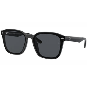 Ray Ban Sunglasses, Model: 0RB4392D Colour: 60187