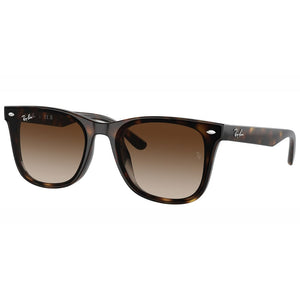 Ray Ban Sunglasses, Model: 0RB4420 Colour: 71013
