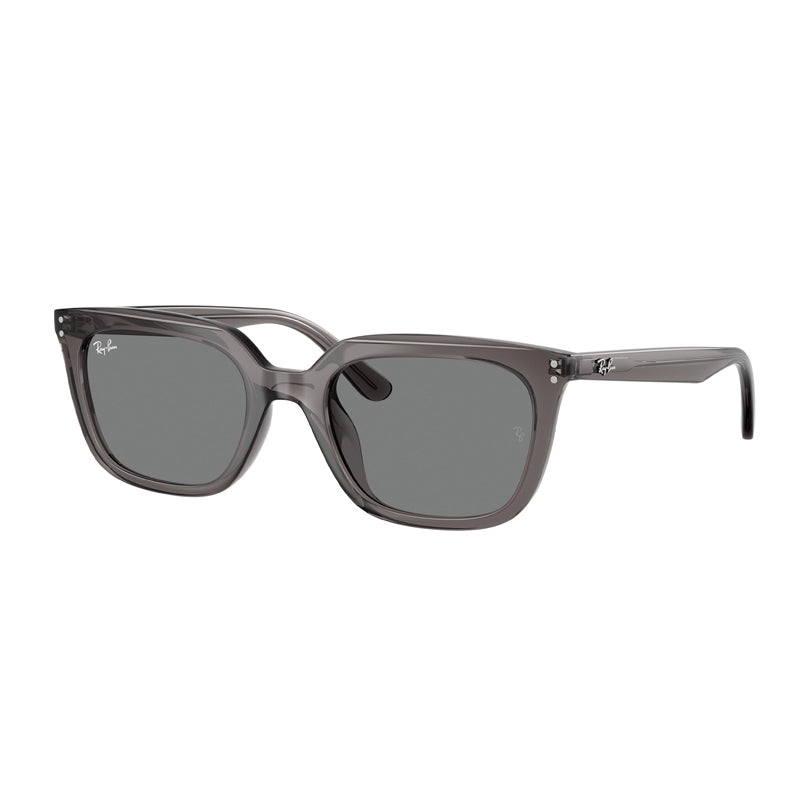 Ray Ban Sunglasses, Model: 0RB4439D Colour: 667587