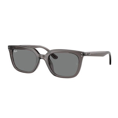Ray Ban Sunglasses, Model: 0RB4439D Colour: 667587