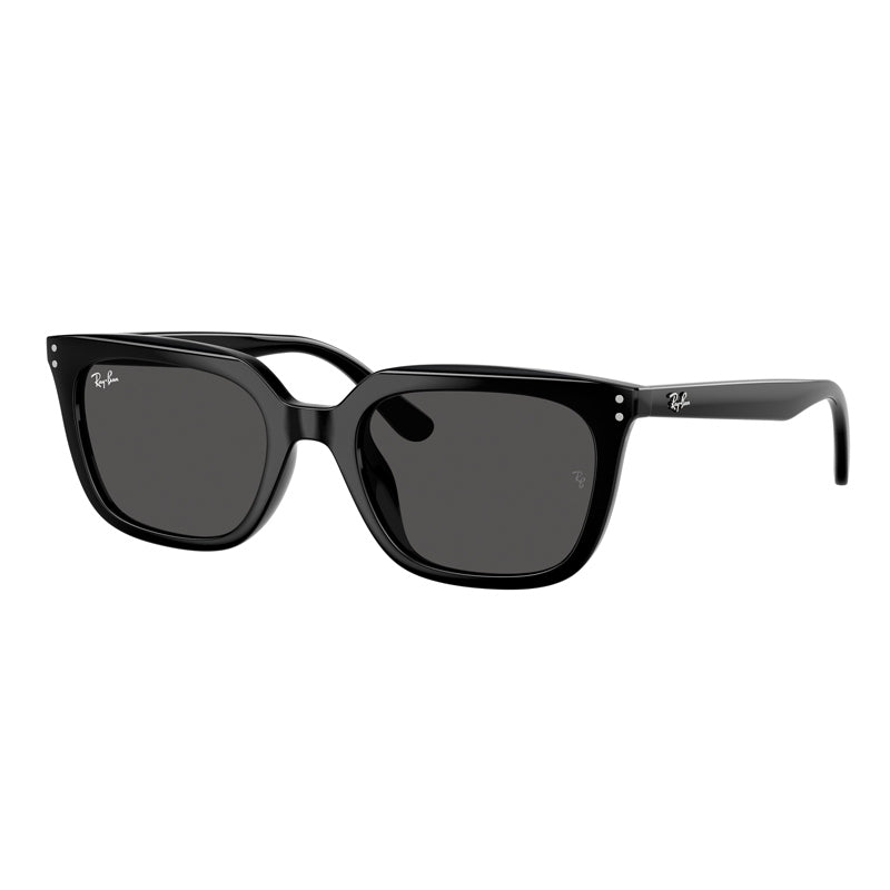 Ray Ban Sunglasses, Model: 0RB4439D Colour: 90187