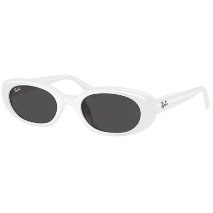 Ray Ban Sunglasses, Model: 0RB4441D Colour: 677287