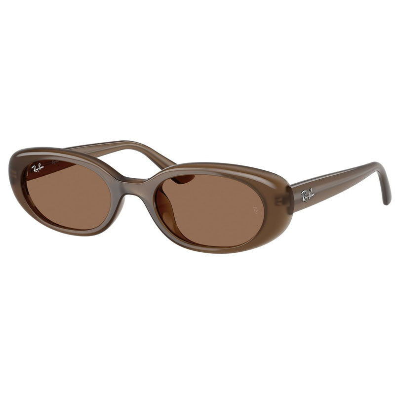 Ray Ban Sunglasses, Model: 0RB4441D Colour: 677973
