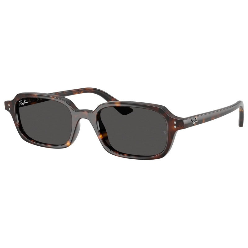 Ray Ban Sunglasses, Model: 0RB4455 Colour: 135987