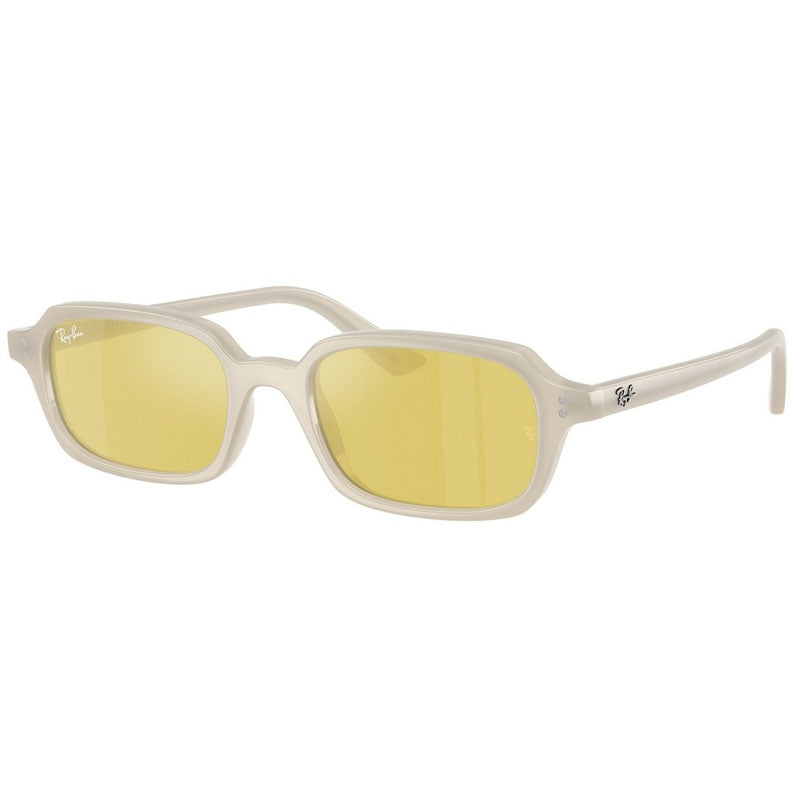 Ray Ban Sunglasses, Model: 0RB4455 Colour: 68086D