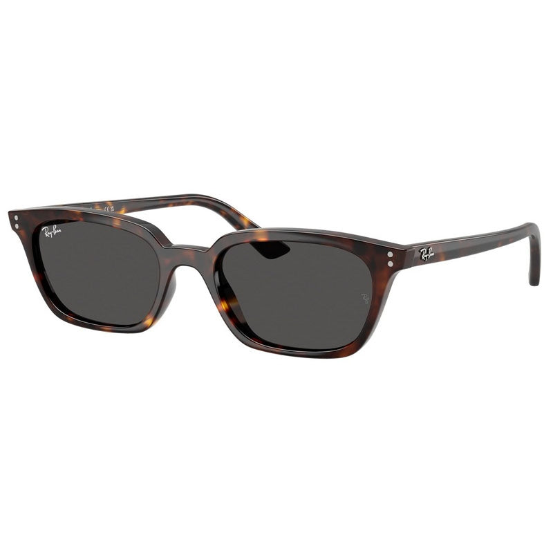 Ray Ban Sunglasses, Model: 0RB4456 Colour: 135987