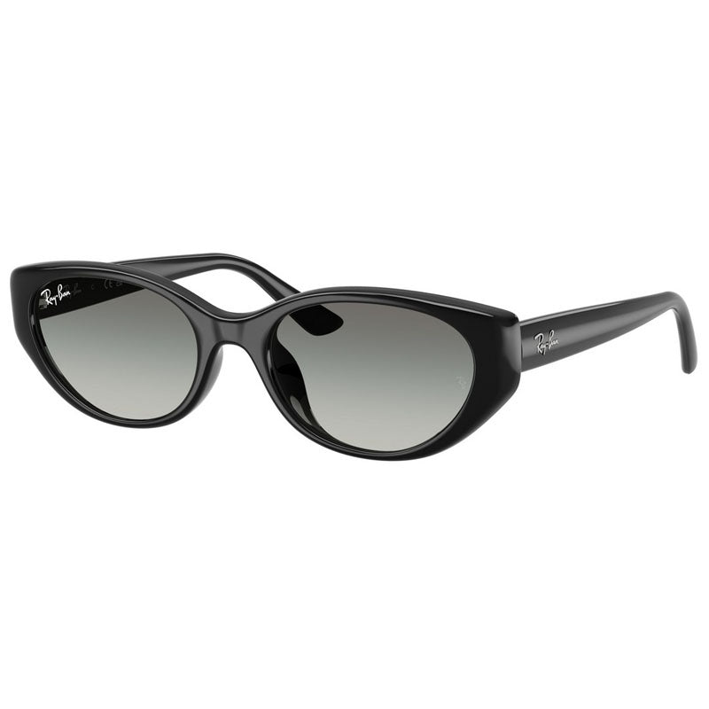 Ray Ban Sunglasses, Model: 0RB4457D Colour: 667711