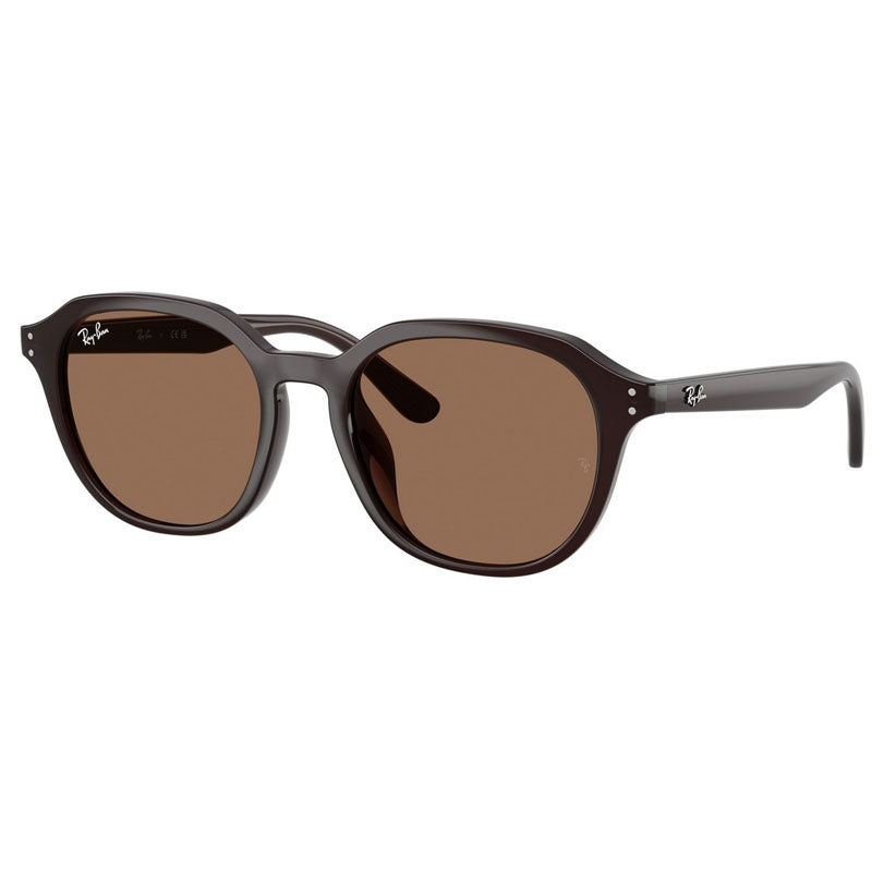 Ray Ban Sunglasses, Model: 0RB4459D Colour: 623173