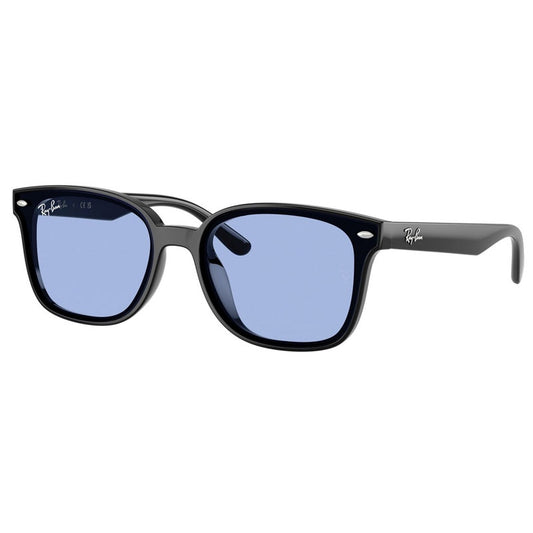 Ray Ban Sunglasses, Model: 0RB4461D Colour: 60180