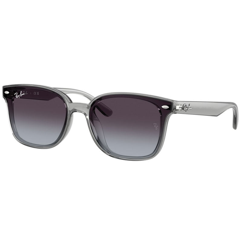 Ray Ban Sunglasses, Model: 0RB4461D Colour: 64508G