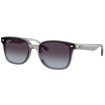 Ray Ban Sunglasses, Model: 0RB4461D Colour: 64508G