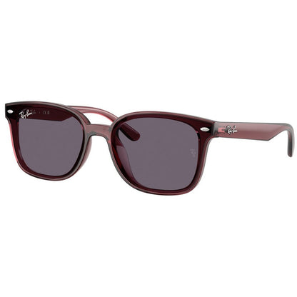 Ray Ban Sunglasses, Model: 0RB4461D Colour: 659373