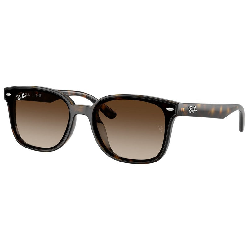 Ray Ban Sunglasses, Model: 0RB4461D Colour: 71013