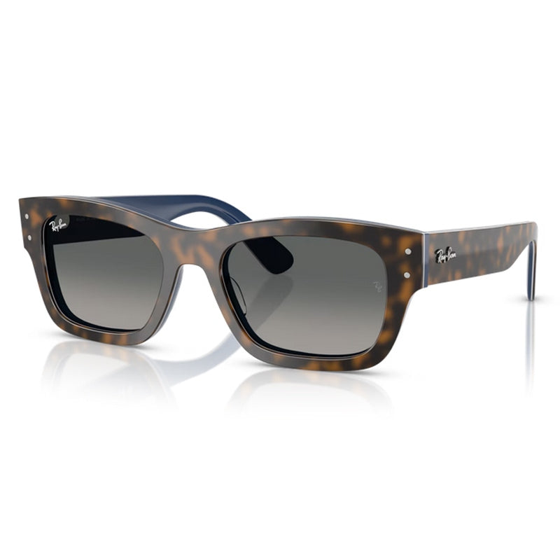 Ray Ban Sunglasses, Model: 0RB7683S Colour: 140171