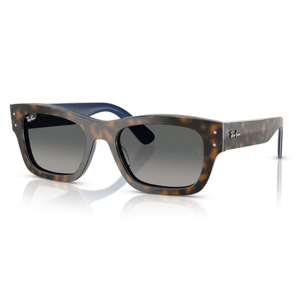 Ray Ban Sunglasses, Model: 0RB7683S Colour: 140171