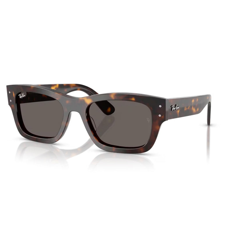 Ray Ban Sunglasses, Model: 0RB7683S Colour: 902B1