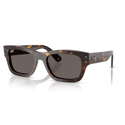 Ray Ban Sunglasses, Model: 0RB7683S Colour: 902B1