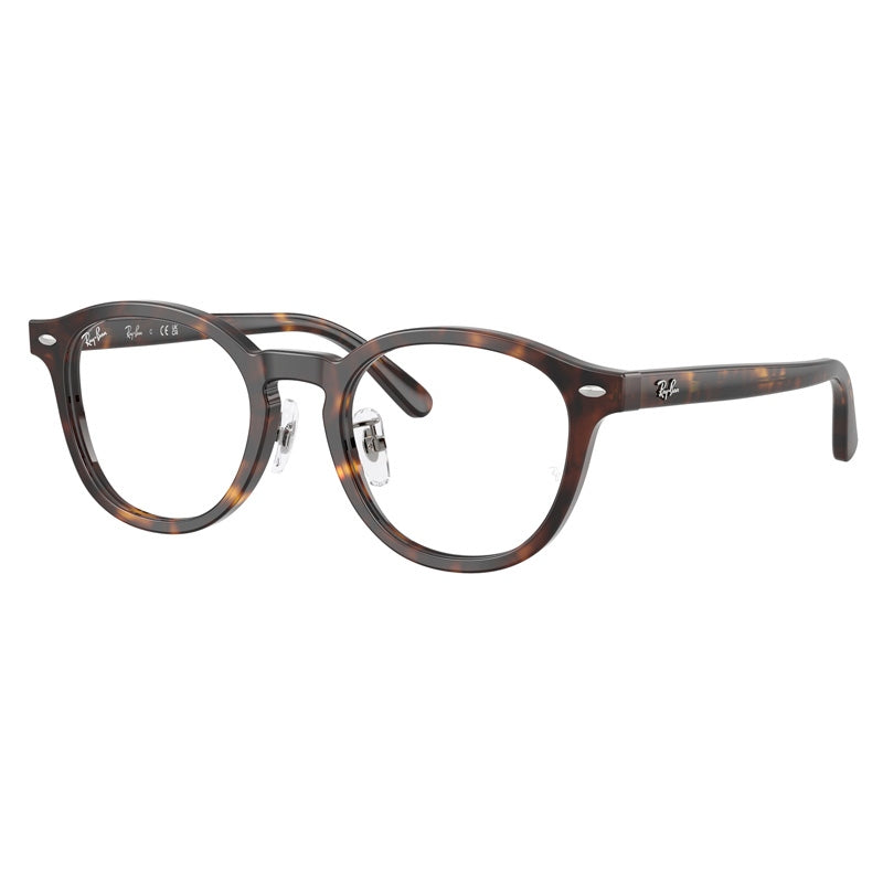 Ray Ban Eyeglasses, Model: 0RX5443D Colour: 2012