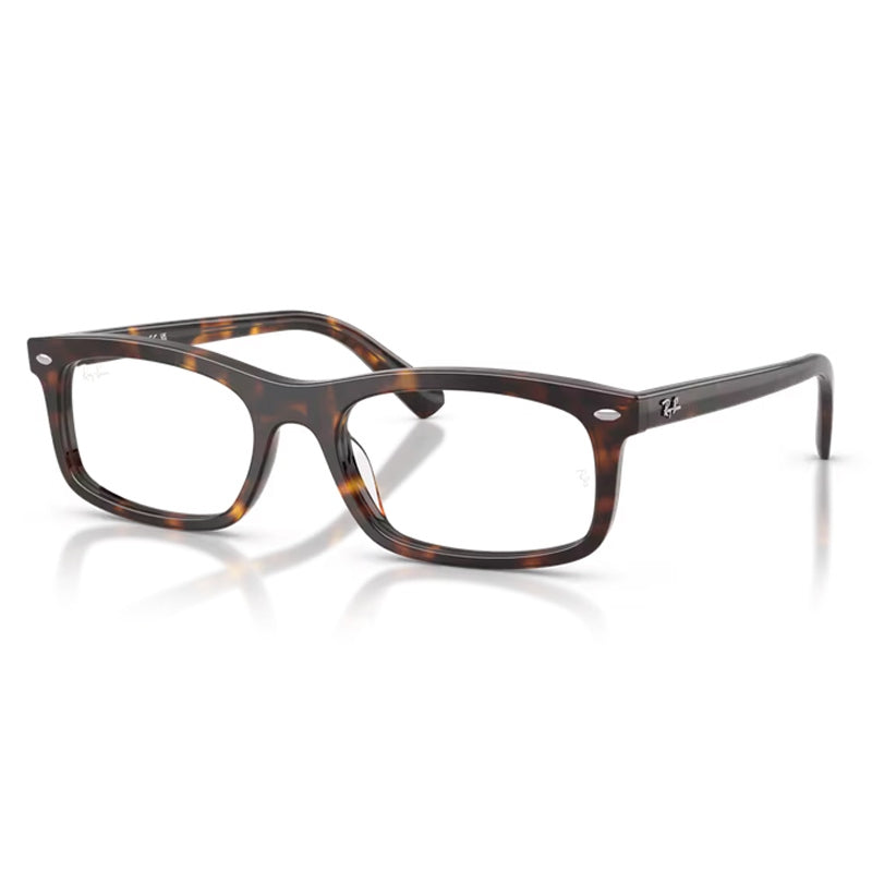 Ray Ban Eyeglasses, Model: 0RX5450 Colour: 2012