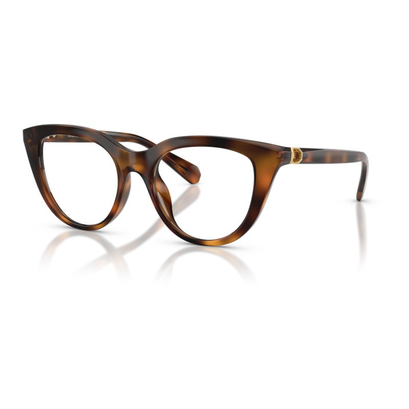 Swarovski Eyewear Eyeglasses, Model: 0SK2052 Colour: 1002