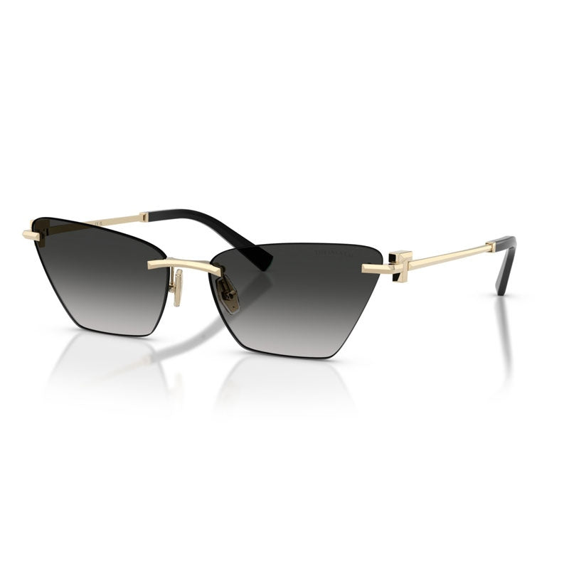 Tiffany Sunglasses, Model: 0TF3120 Colour: 62413C