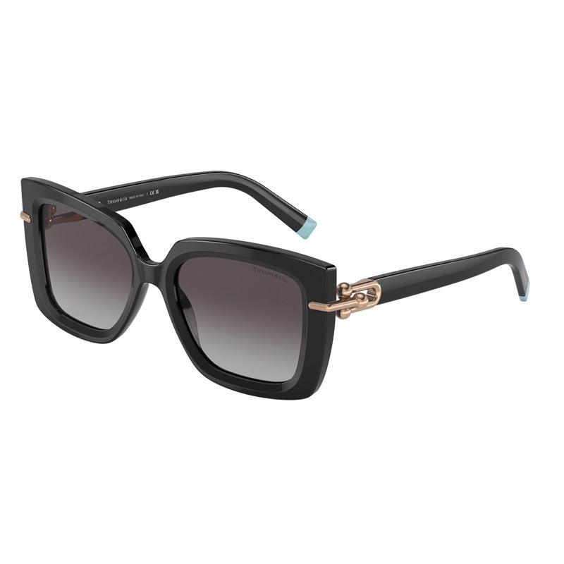 Tiffany Sunglasses, Model: 0TF4199 Colour: 80013C