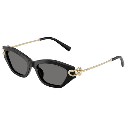 Tiffany Sunglasses, Model: 0TF4231U Colour: 800181