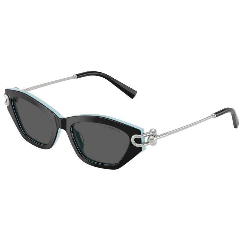 Tiffany Sunglasses, Model: 0TF4231U Colour: 8055S4
