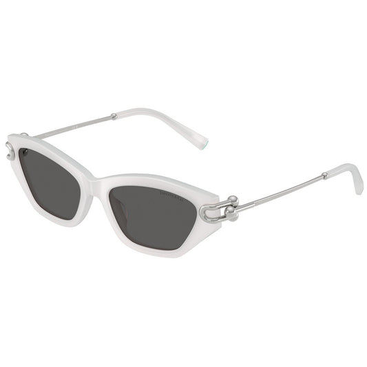 Tiffany Sunglasses, Model: 0TF4231U Colour: 8437S4