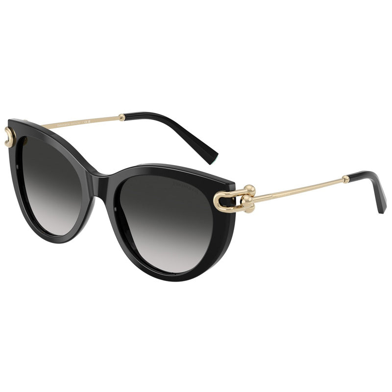 Tiffany Sunglasses, Model: 0TF4232 Colour: 80013C