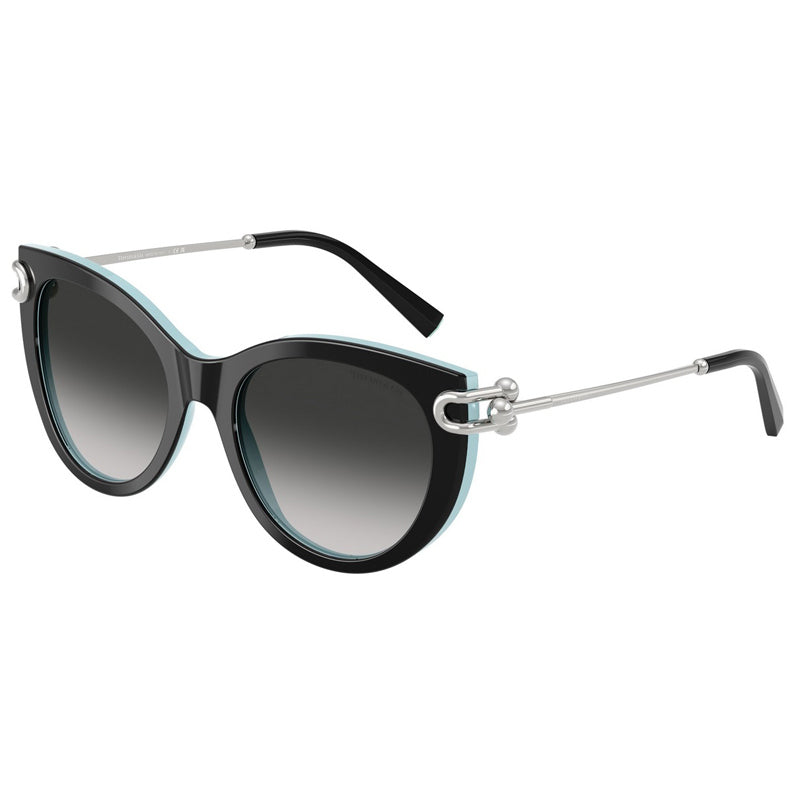 Tiffany Sunglasses, Model: 0TF4232 Colour: 80553C