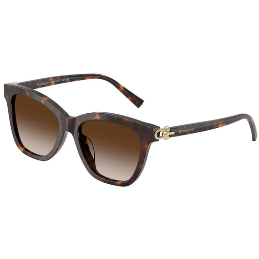 Tiffany Sunglasses, Model: 0TF4241D Colour: 80153B