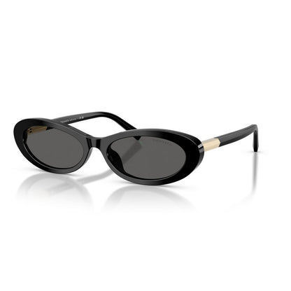 Tiffany Sunglasses, Model: 0TF4250 Colour: 8001S4
