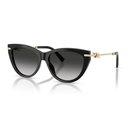 Tiffany Sunglasses, Model: 0TF4253 Colour: 80013C