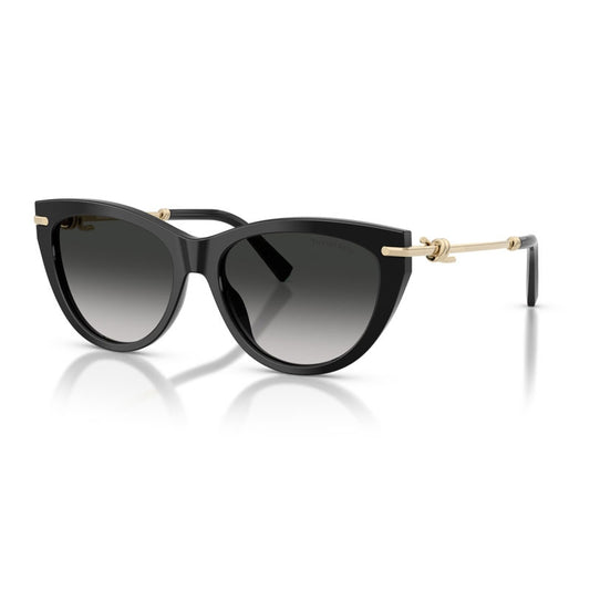 Tiffany Sunglasses, Model: 0TF4253 Colour: 80013C