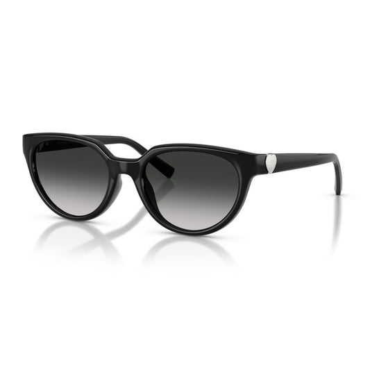 Tiffany Sunglasses, Model: 0TF4256D Colour: 80013C