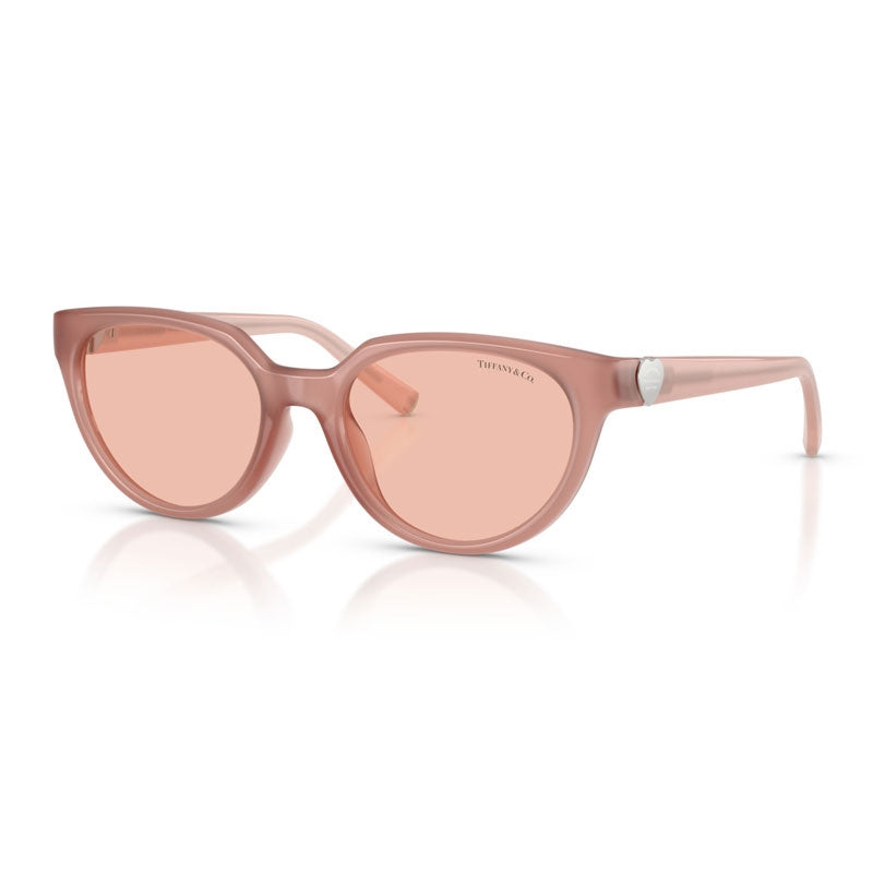 Tiffany Sunglasses, Model: 0TF4256D Colour: 844884